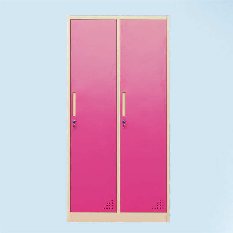 2 door metal locker