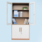 Half glass door office filing cabinet